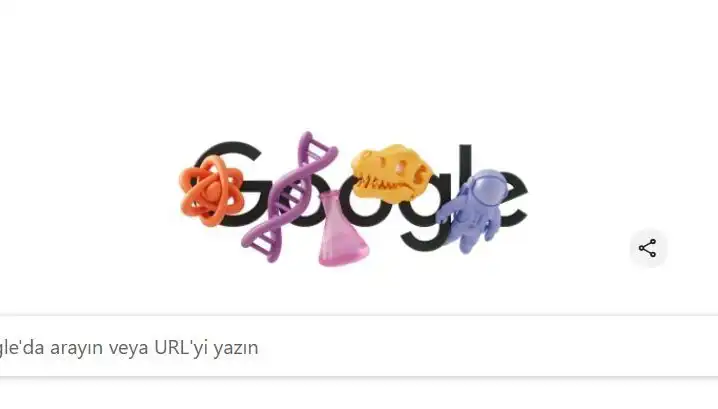 Doodle ile Kutlanan STEM Alanındaki Kadınlar: Eşitlik ve Başarı Yolculuğu